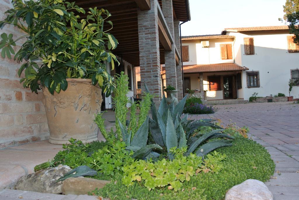 Vila Il Ghiandolino Imola Exteriér fotografie